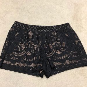 Bcbg black lace Shorts